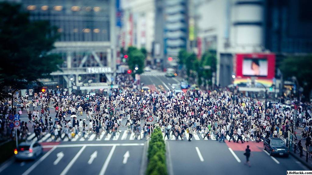 Teorii sociologice majore. O listă de teorii, concepte și structuri sociologice