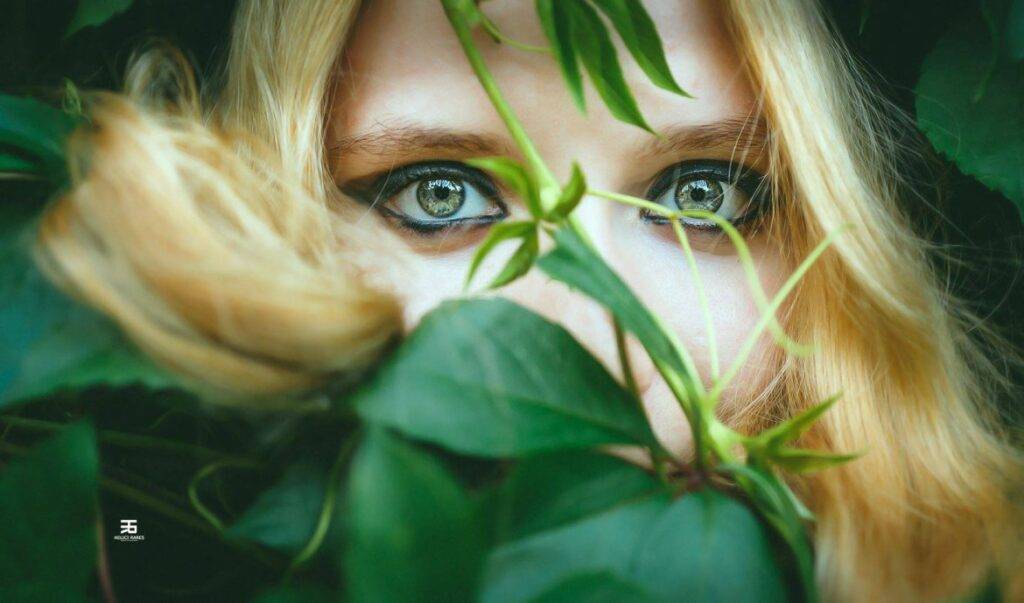 Ioana Vintilă, Păsări în furtuna de nisip