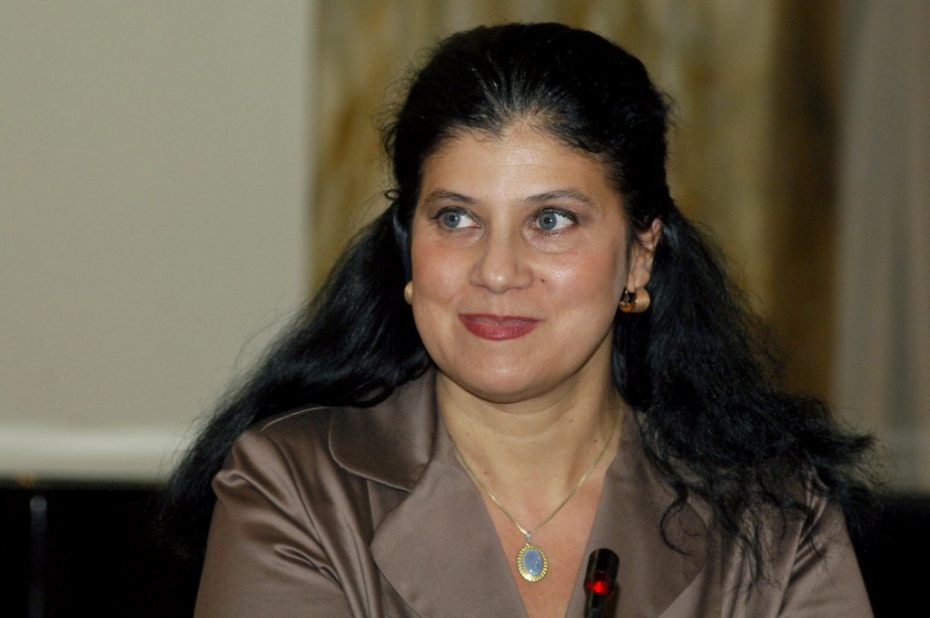 Ioana Drăgan, Gripa. O poveste de Crăciun