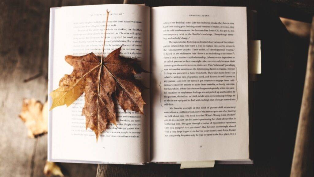 6 titluri de cărți cu care să-ți începi toamna într-o notă culturală perfectă