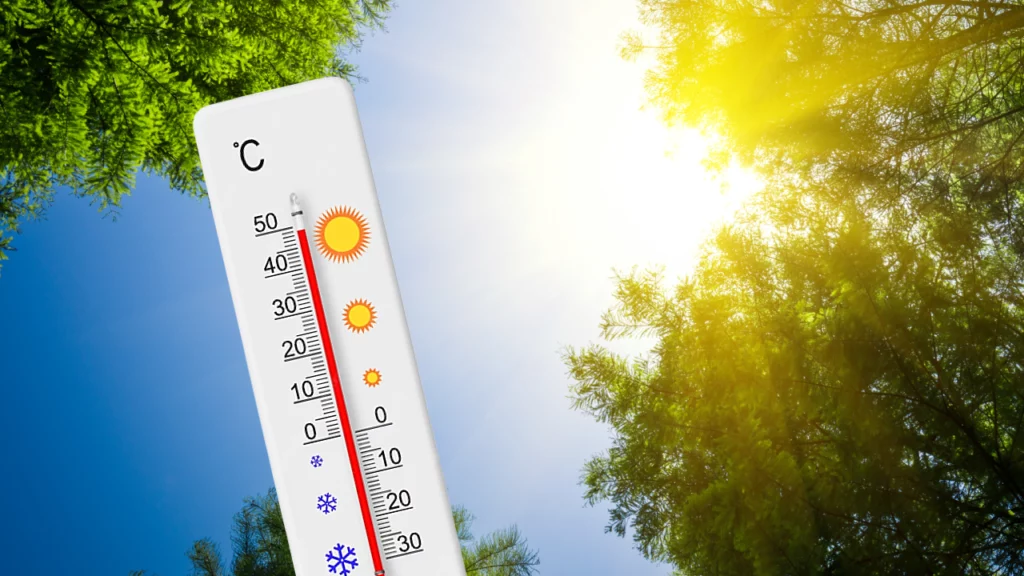 Vremea se încălzește semnificativ în România pe 4 februarie, cu diferențe regionale și ploi izolate