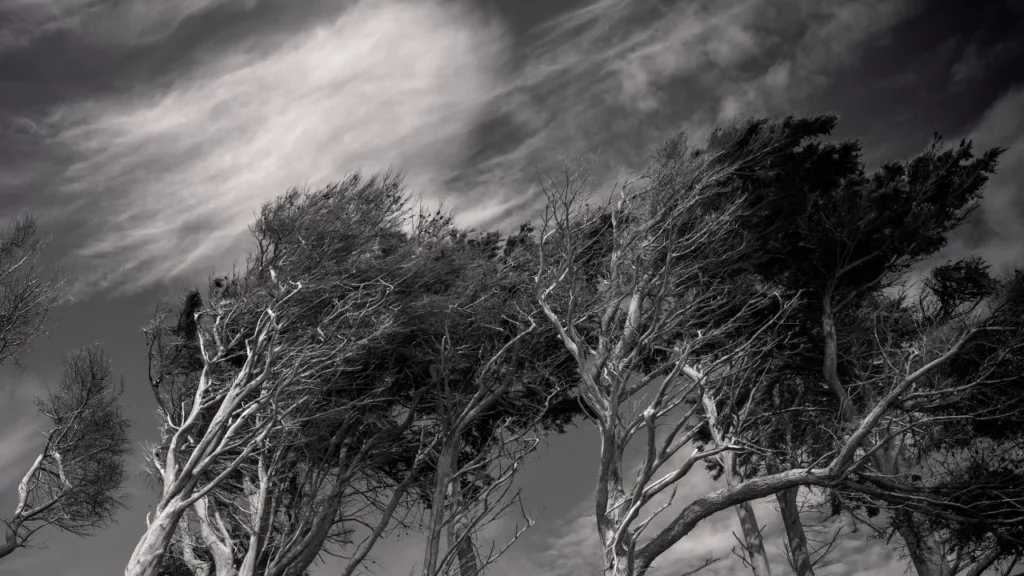 Furtuna Pia lovește România cu forța unui uragan! Vreme extremă cu rafale puternice