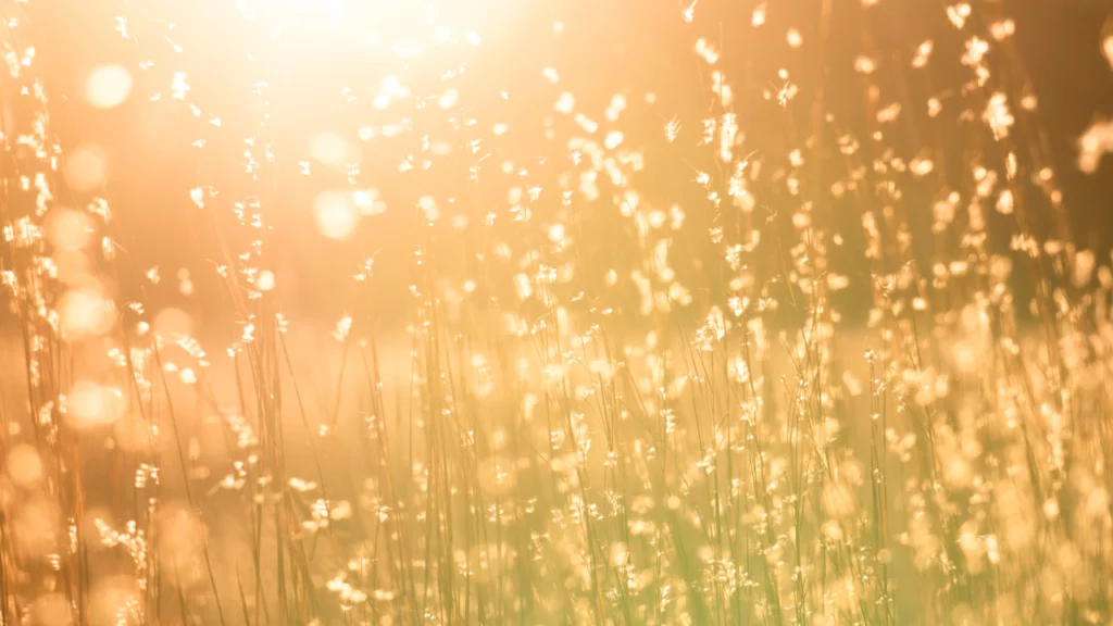 Valori termice surprinzătoare astăzi, 18 decembrie: România se confruntă cu o iarnă neobișnuit de caldă