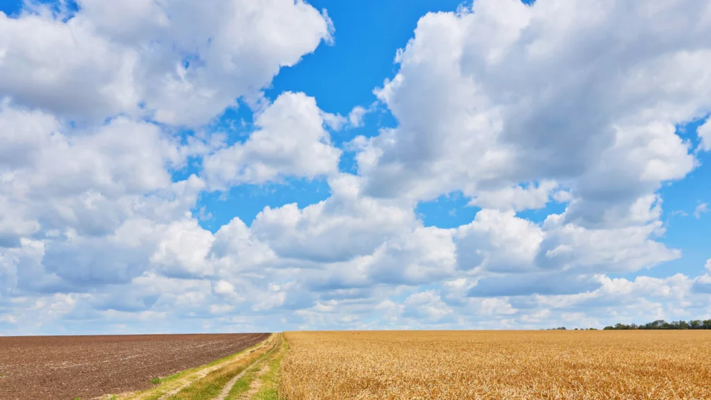 Boboteaza 2024 surprinde cu temperaturi de primăvară. Prognoza meteo pentru 6 Ianuarie