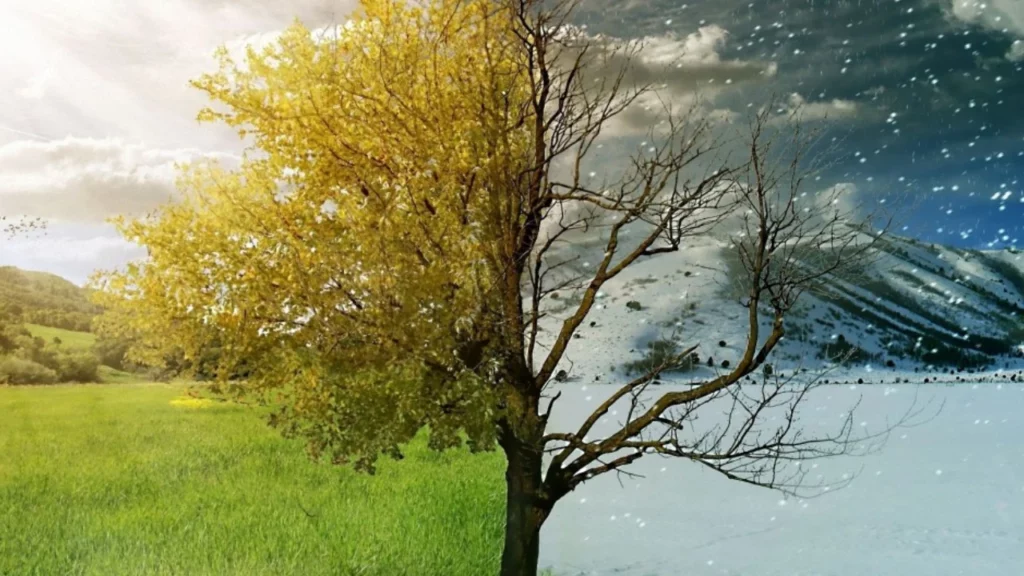 Prognoza Meteo pentru Ianuarie 2024: Schimbări climatice în România